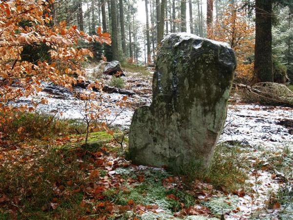 Une pierre remarquable dans la forêt peut être un lieu de Sabbat