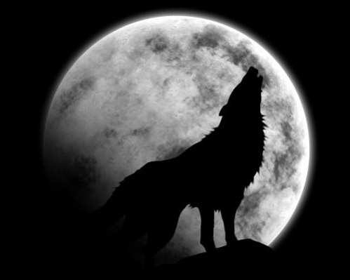 Le loup comme les mages et les sorcières s’en remet à la Lune