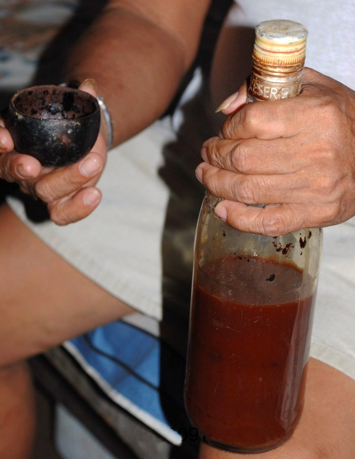 La boisson chamanique ayahuasca
