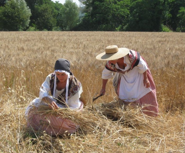 Lugnasad était la fête des moissons dans le monde paysan